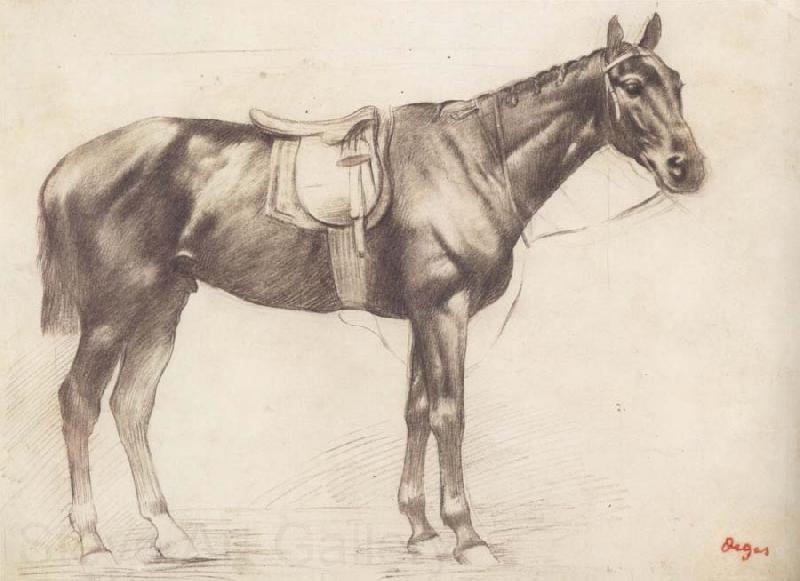 Edgar Degas Horse with Saddle and Bridle